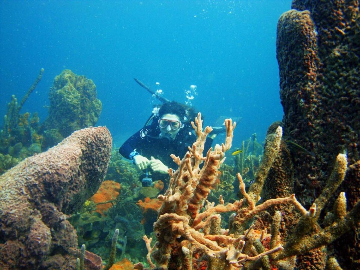 Ecohotel Arte Y Aventura Isla Grande  Eksteriør bilde
