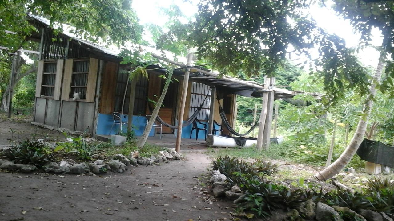 Ecohotel Arte Y Aventura Isla Grande  Eksteriør bilde