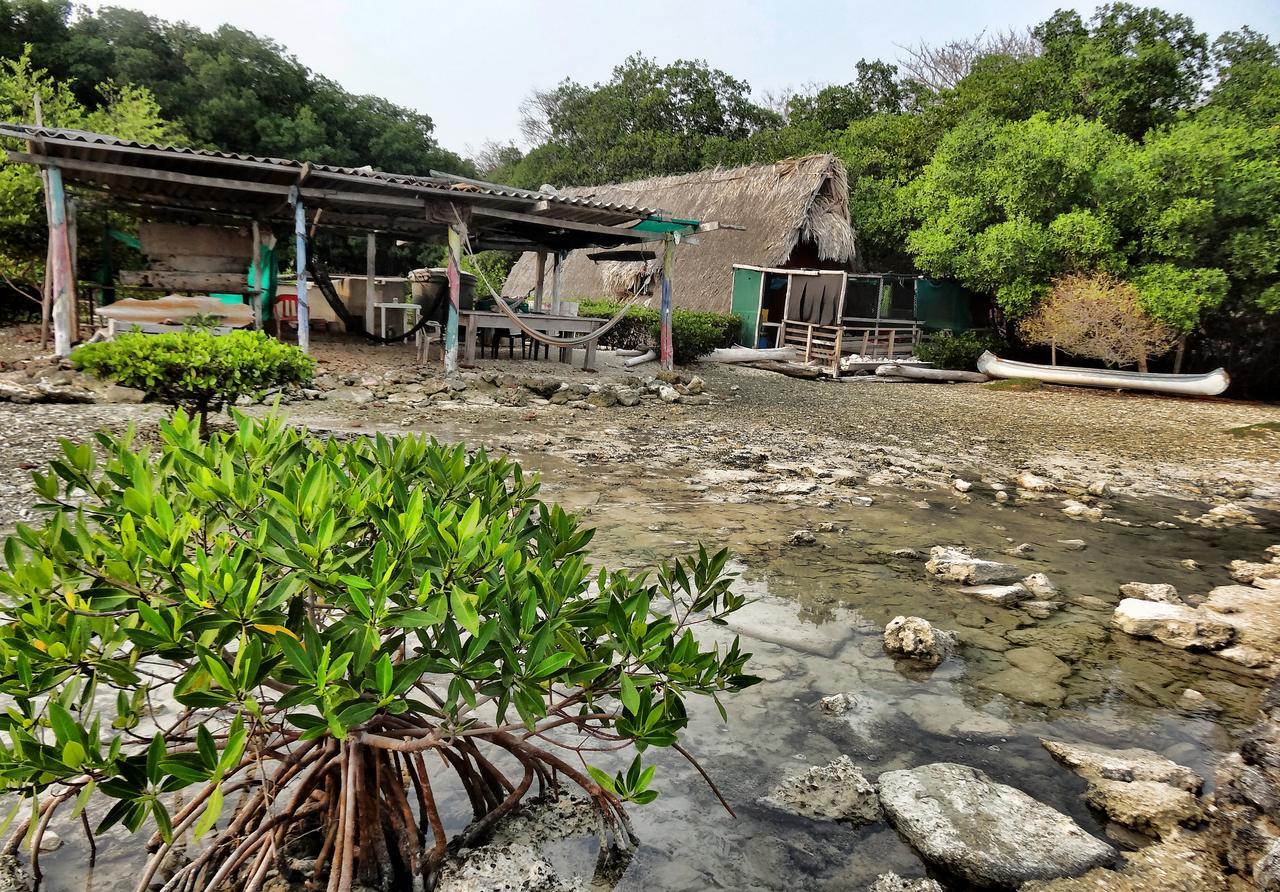 Ecohotel Arte Y Aventura Isla Grande  Eksteriør bilde