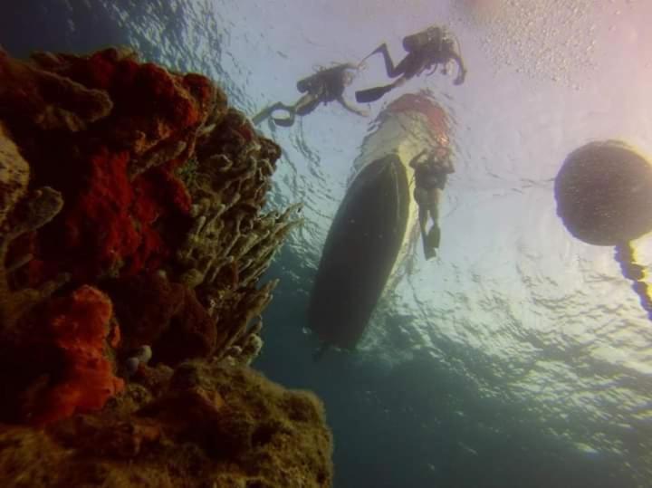 Ecohotel Arte Y Aventura Isla Grande  Eksteriør bilde